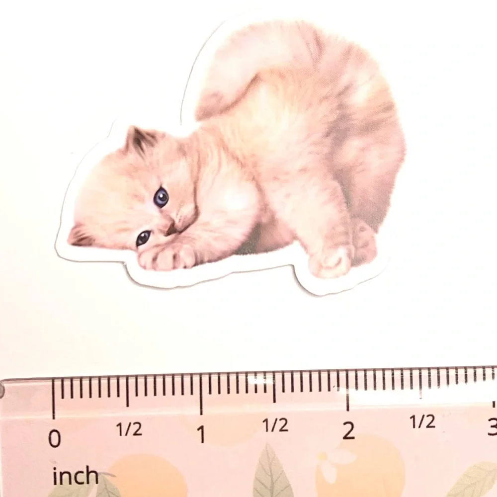 Kitten Vinyl Sticker - Picture 2 of 2